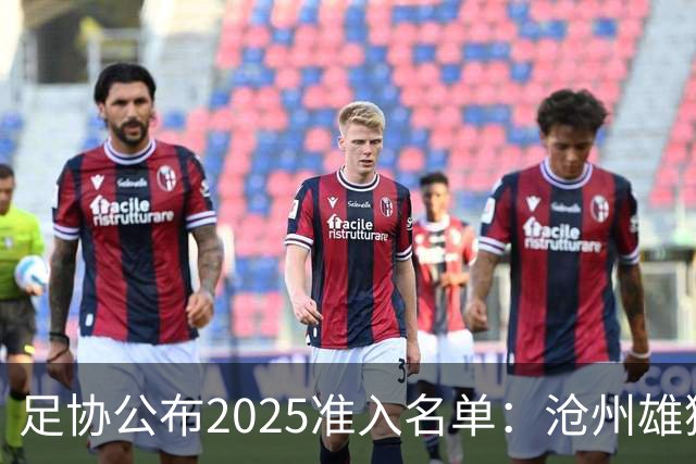 足协公布2025准入名单：沧州雄狮、广州队无缘